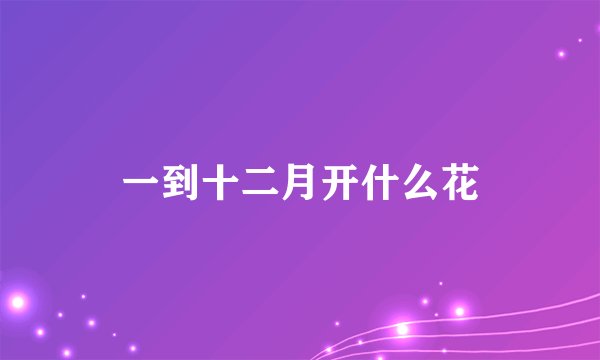 一到十二月开什么花