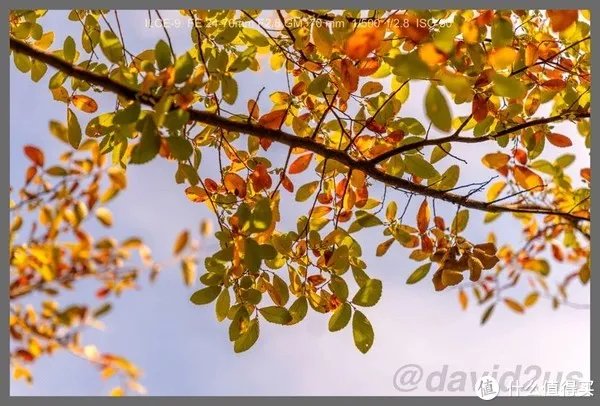 适马镜头