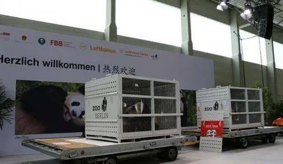 2017年哪只大熊猫抵达德国了?