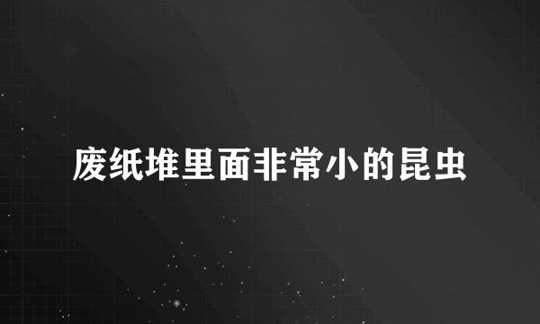 废纸堆里面非常小的昆虫