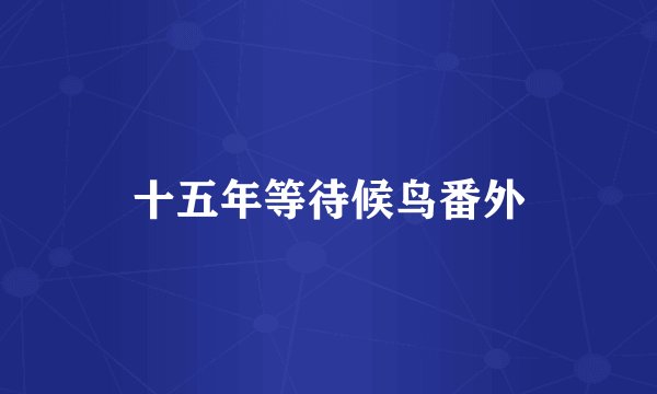 十五年等待候鸟番外
