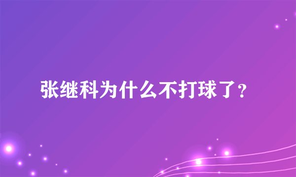 张继科为什么不打球了？