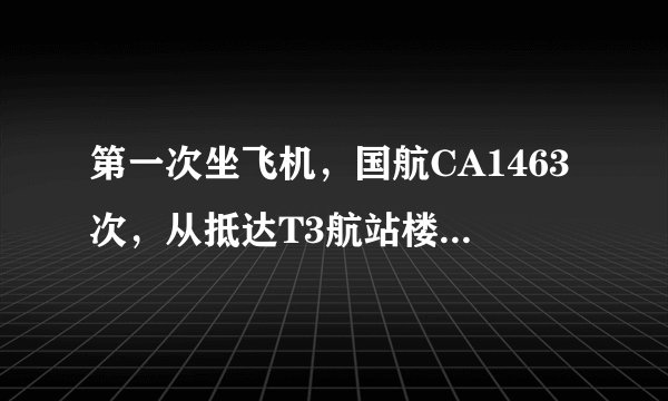 第一次坐飞机,国航CA1463次,从抵达T3航站楼开始整个过程该怎么做,什么个流程,该注意什么?