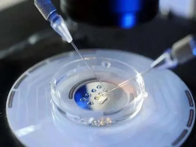 南京妇幼做三代试管的技术怎么样?