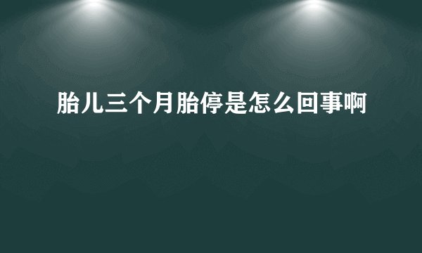 胎儿三个月胎停是怎么回事啊