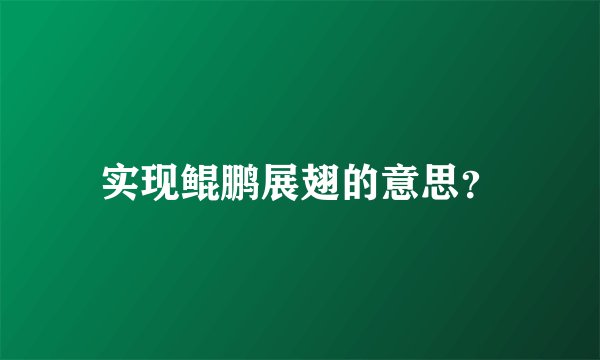 实现鲲鹏展翅的意思?