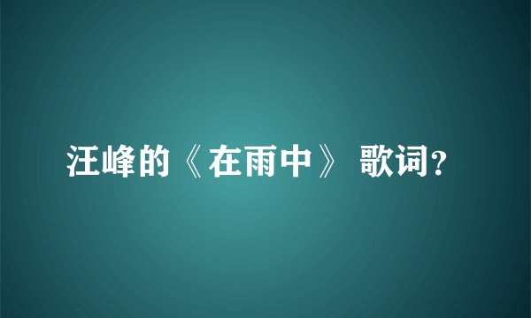 汪峰的《在雨中》 歌词？