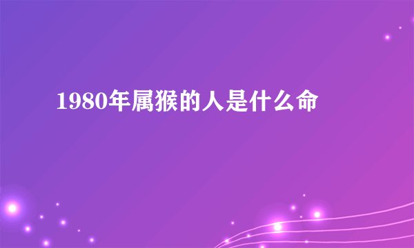 1980年属猴的人是什么命