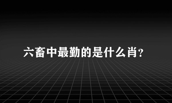 六畜中最勤的是什么肖？