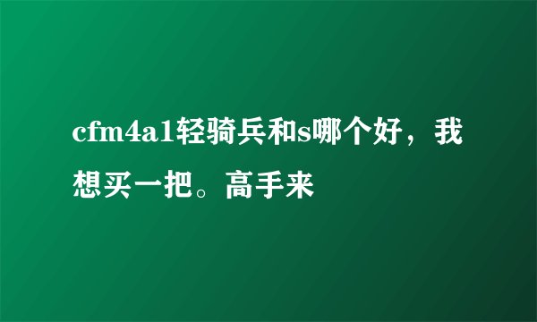 cfm4a1轻骑兵和s哪个好,我想买一把。高手来