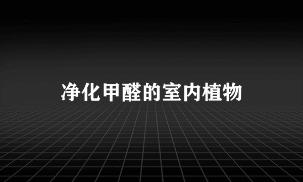 净化甲醛的室内植物