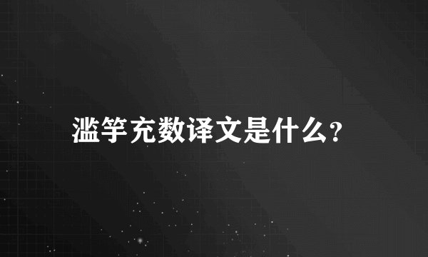 滥竽充数译文是什么？