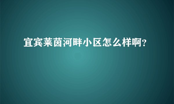 宜宾莱茵河畔小区怎么样啊？