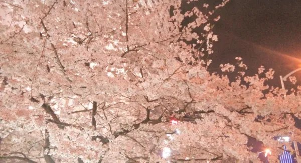 江汉大学怎么样?