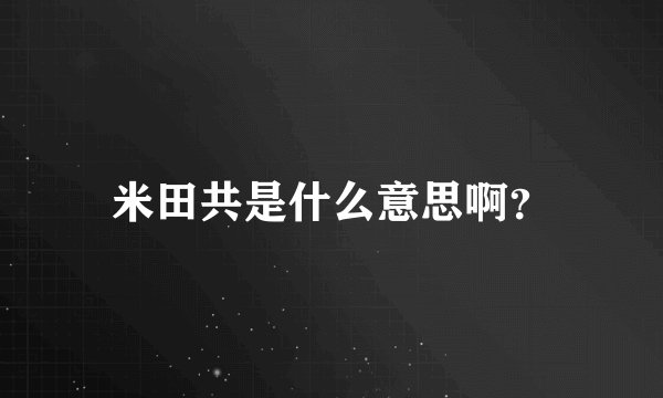 米田共是什么意思啊？