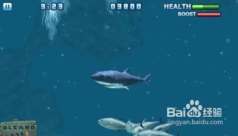 hungryshark攻略