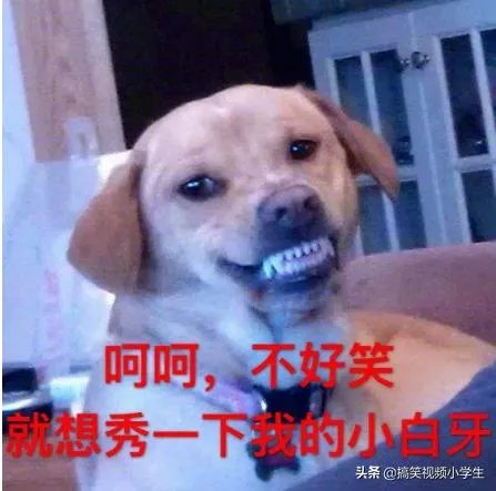 有没有和老婆出门办事发生的糗事或者搞笑的段子呢?