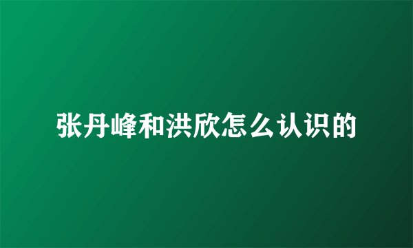 张丹峰和洪欣怎么认识的