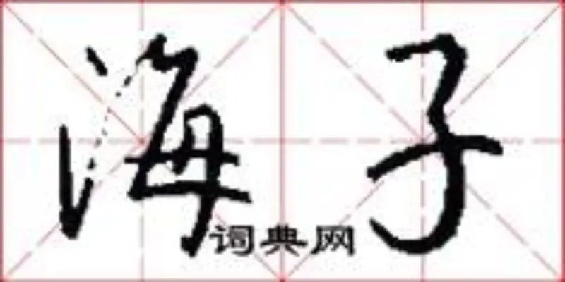 海子