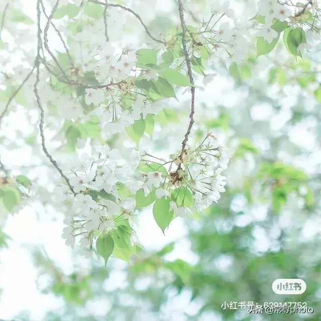 学摄影一定要参加学习班吗？选择什么形式的学习班比较合适？