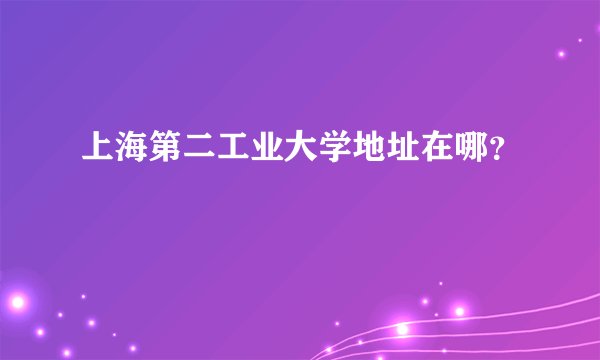 上海第二工业大学地址在哪？