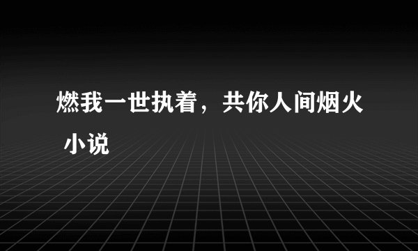 燃我一世执着，共你人间烟火 小说