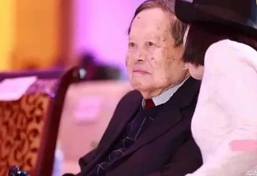 杨振宁和翁帆生了孩子吗?