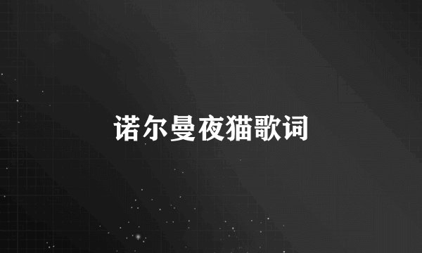诺尔曼夜猫歌词