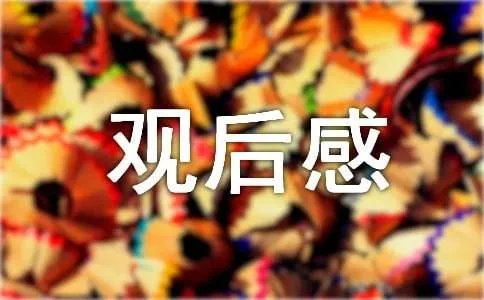 《虫虫特工队》观后感