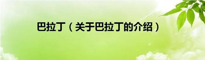 巴拉丁（关于巴拉丁的介绍）