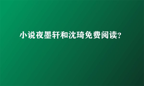小说夜墨轩和沈琦免费阅读？