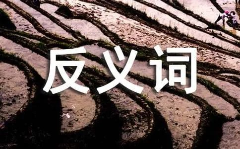 羞耻的反义词