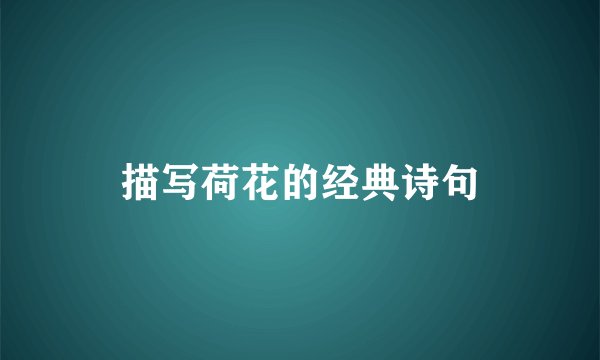 描写荷花的经典诗句