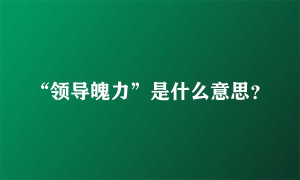 “领导魄力”是什么意思？