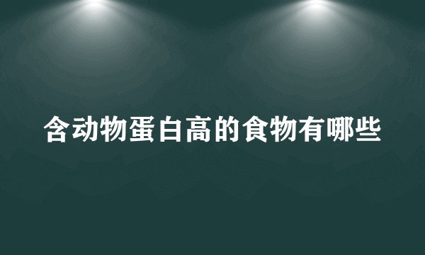 含动物蛋白高的食物有哪些
