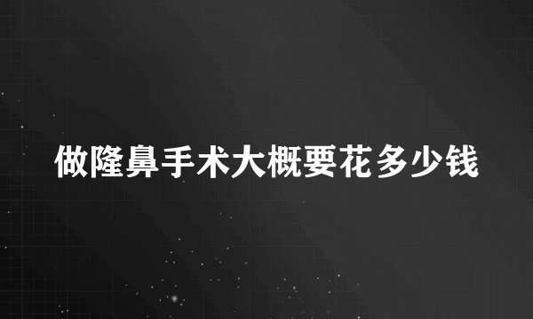 做隆鼻手术大概要花多少钱