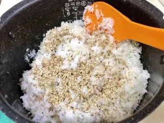 饭团