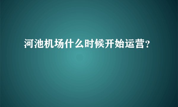 河池机场什么时候开始运营？