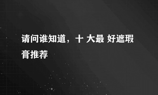 请问谁知道,十 大最 好遮瑕膏推荐