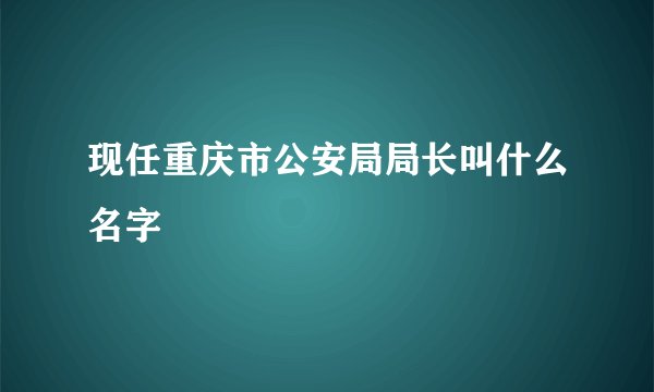 现任重庆市公安局局长叫什么名字