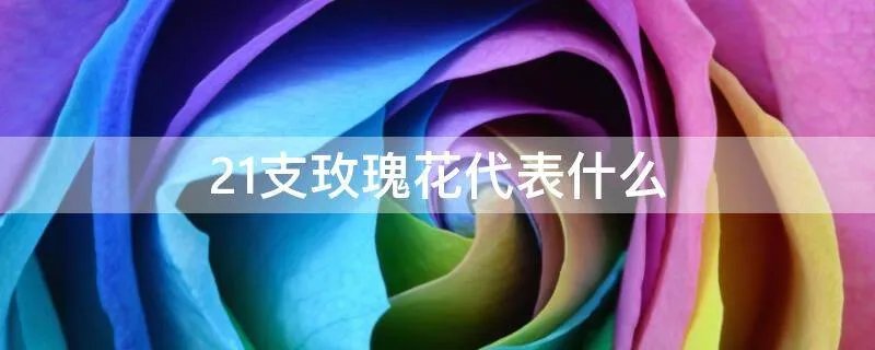 21支玫瑰花代表什么