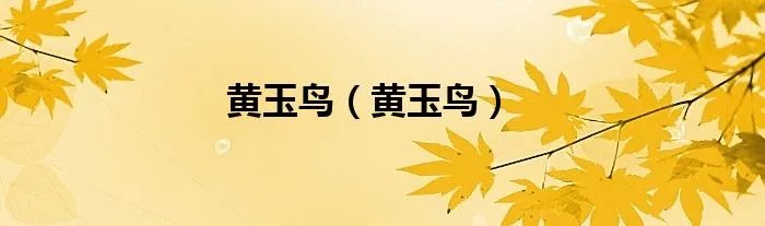 黄玉鸟（黄玉鸟）