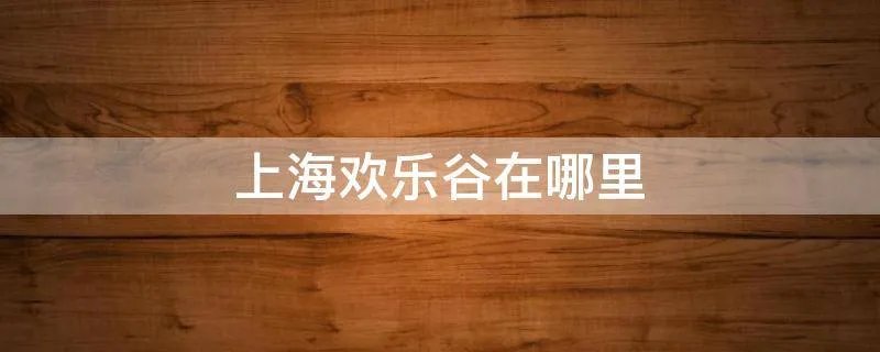 上海欢乐谷在哪里