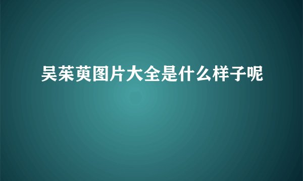 吴茱萸图片大全是什么样子呢
