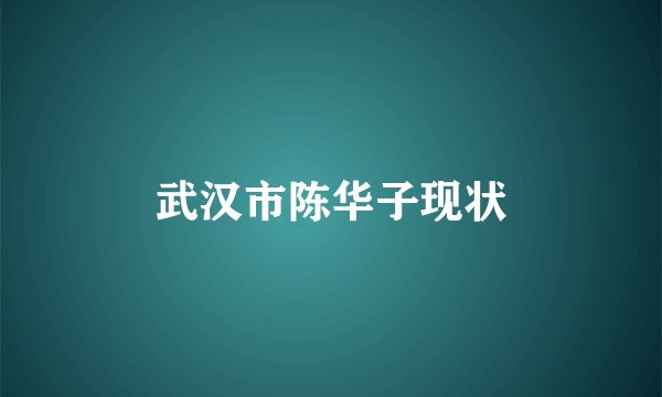 武汉市陈华子现状