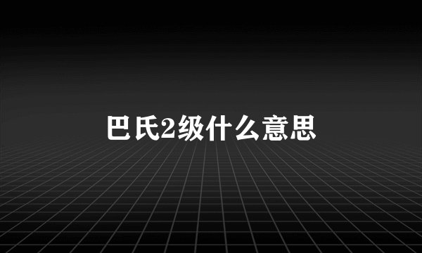 巴氏2级什么意思