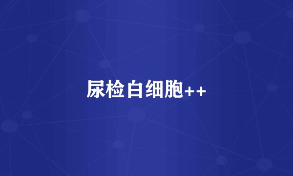 尿检白细胞++