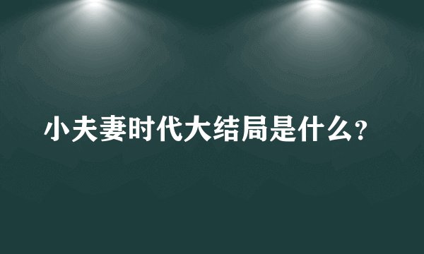 小夫妻时代大结局是什么?