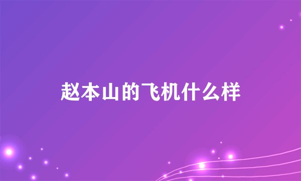 赵本山的飞机什么样