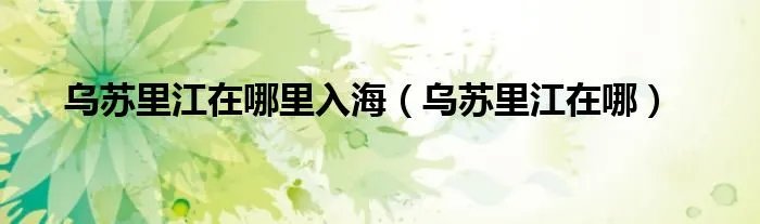 乌苏里江在哪里入海(乌苏里江在哪)